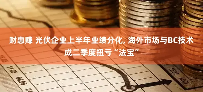 财惠赚 光伏企业上半年业绩分化, 海外市场与BC技术成二季度扭亏“法宝”