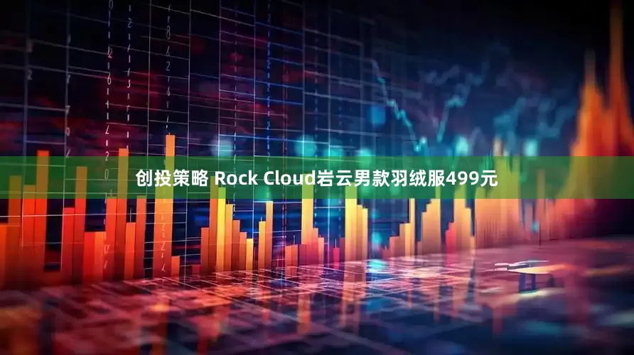 创投策略 Rock Cloud岩云男款羽绒服499元